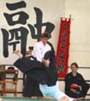 Aikido in Berlin