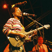 Foo Fanick and One Roots